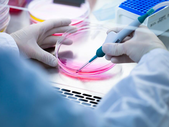 抗衰老血液净化排毒