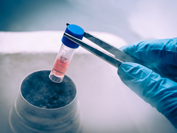 干细胞再生医疗美容