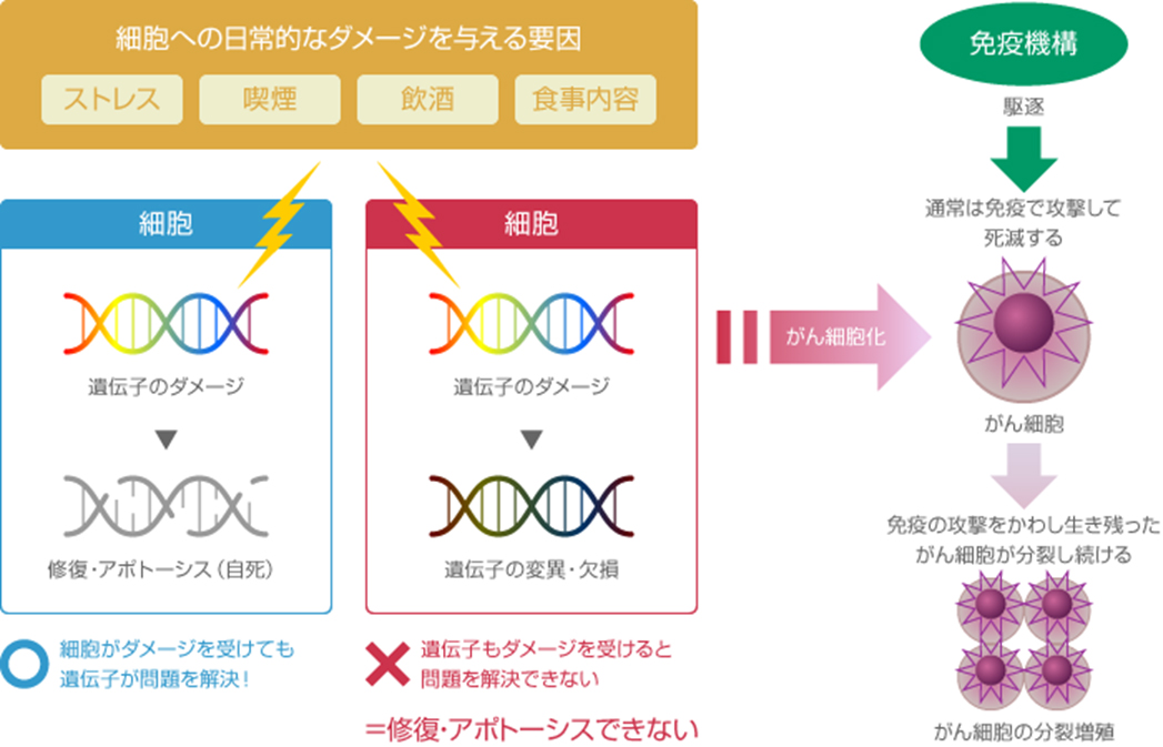 什么是癌症遗传因子治疗
