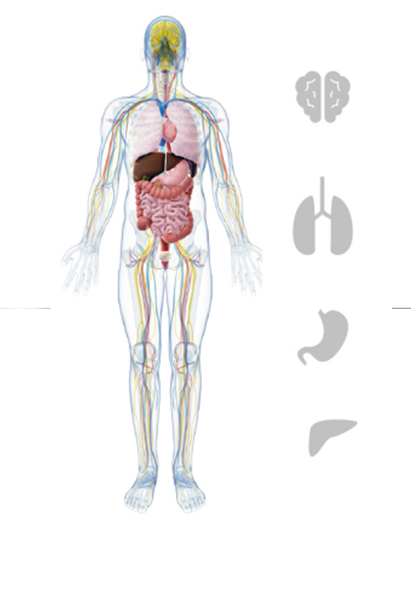 上下肢体血压测定