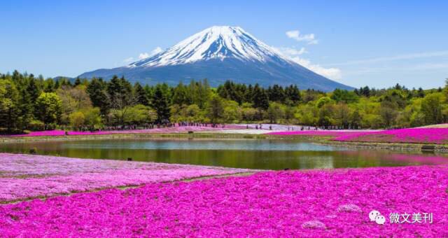 日本看病体检五大须知
