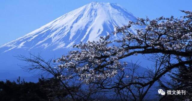 日本体检为何让他放弃坚持了数年的抵制日货